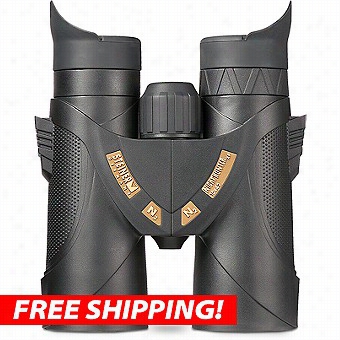 Steiner 10x42 Nighthunter Xp Waterproof Binoculars