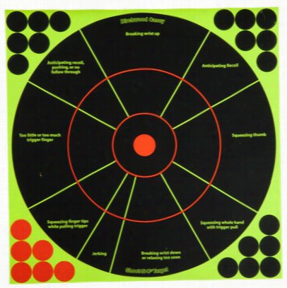 Birchwood Casey Shoot-n-c  Handgun Trainer Target