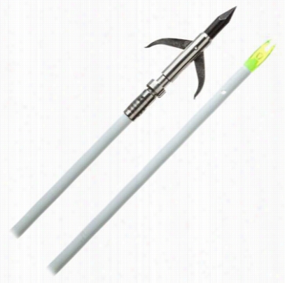 Cajun Archery Garpoon Point With Complete Arrow Set - Of A ~ Color - Fiberglass Shaft