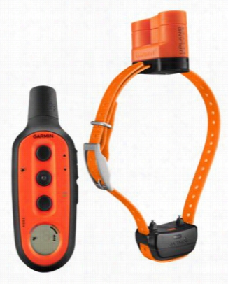 Garmin Delt Aupland Xc Dog Training System