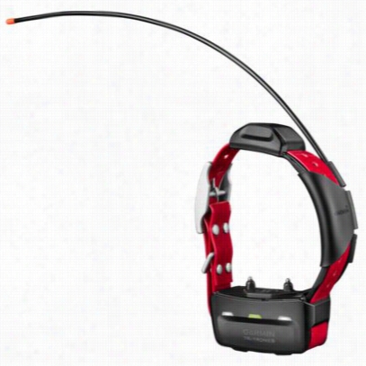 Garmin Tt 15 Mini Dog Trrack And Trian Put A ~ On - Red/black