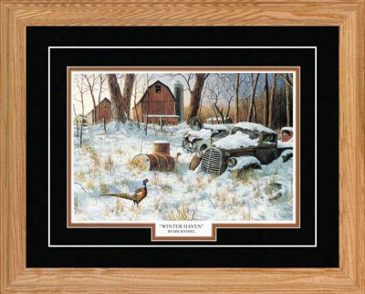 Northern Promotions Framed Art - Winter Haven By Jim Hansel