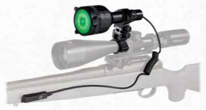 Pursuit Predator 600 Lumens Night Hunting Light Kit