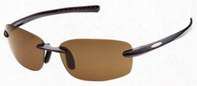 Suncloud Omentumpolsrized Sunglasses - Tortoise/brown