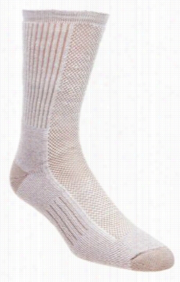 Wigwam Ciol Litw Hiker Pro Cr Ew Socks For Men - Khaki - M