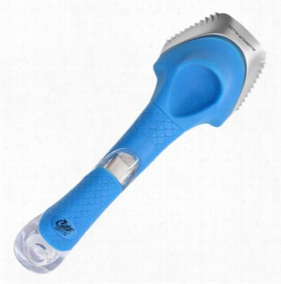 Cuda Aluminum Alloy Descaler