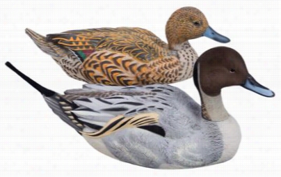 Dakota Decoy X-treme Floating Pintail Decoys - 3   Drakes/3 Ehns