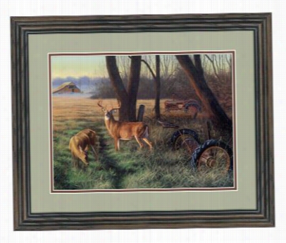 Dallen Lambson Framed Aa Rtwork - End Of The Harvest