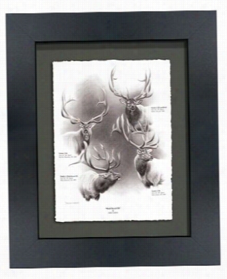 Dallen Lambson Shadowbox Framed Black And White Atrwork - World Record Elk