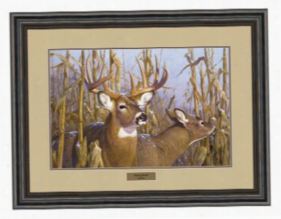 Hayden Lambson Framed Artwork - Autumn's Bounty