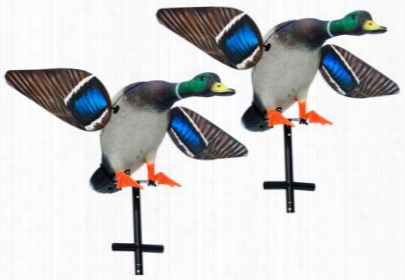 Lucky Duck Lucky Hot Shot Mallad Motorized Duck Decoy - 2-pack