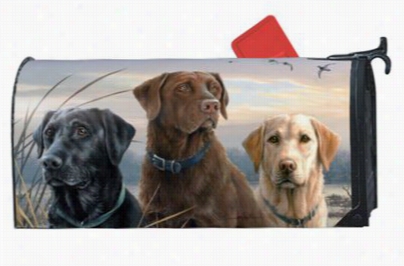 Magnet Works Mailwraps Magnetic Mailbox Cover - Proud Labs By The Hautman Brothers