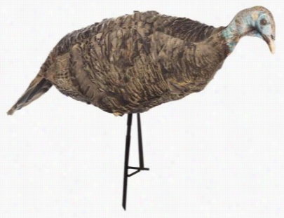 Montaana Decoy Miss Purr-fect 3d Hen Trukey Decoy