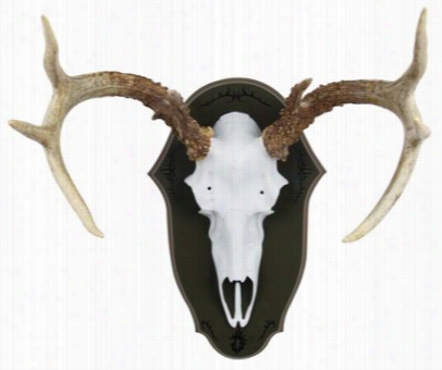 Mountain Mike's Black Forest Mounting Antler Plaque