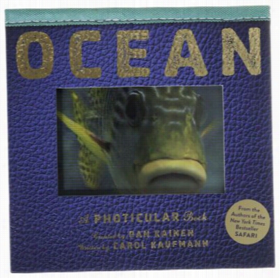 Ocean By Carol Kaufmann And Dan Kainen - Children's Book
