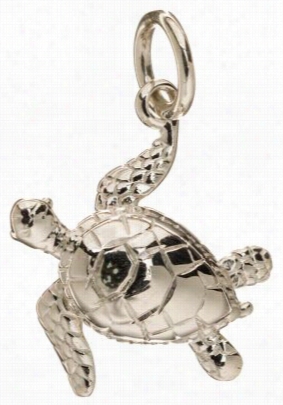 Sterling Silver Small  Turtlw Pendant