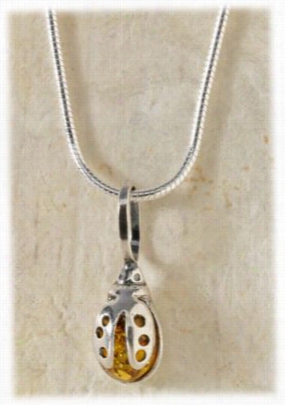 Vesse Baltic Amber Ladybug 18' Nceklace