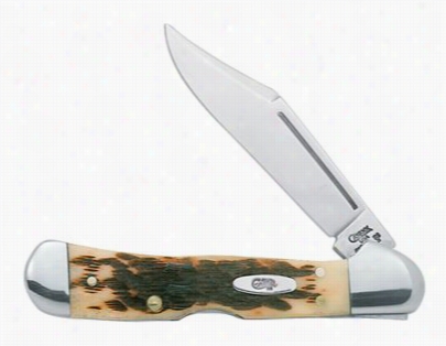 Case Amber Bone Knife - Miin Copperlock