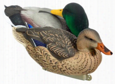 Dakota  Decoy X-treme Floaing Mallard Ecoys