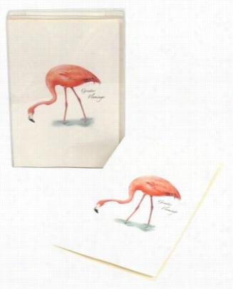 Flamingo Notecards Wth Envelopes Boxed Set