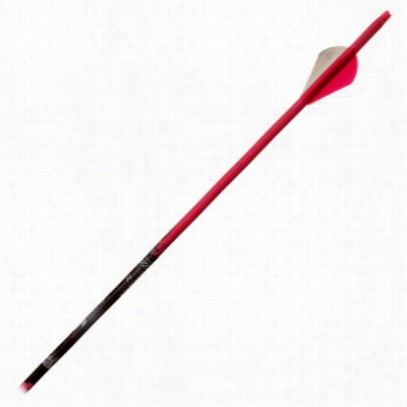 Gold Tip Ntg Expedition Pink Arrows