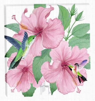 Fright Harvey Canvas Art - Pink Hibiscus