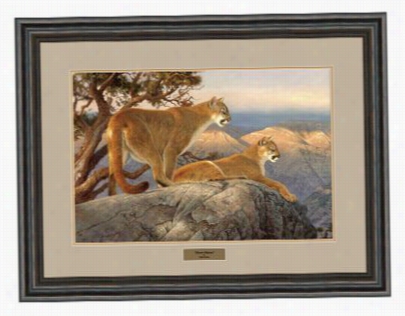 Haydden Lambson Framed Artwork - Omunr Majesty