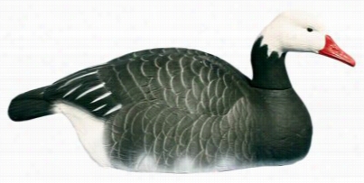 Higdon Decoys Sttandard Half-shell Blueg Oose Decoys