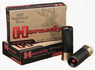 Hornady Sst Shotgun Slug Shotshels - 20 Gauge - 250 Gran