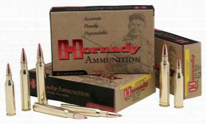 Hornadyv Armint Express Ammo -  .22 Hornet  - 35 Grain