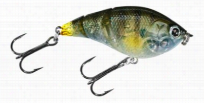 Lucky Craft Fat Smasher Crankbait - Ghost Baby Bluegill - 2-1/4