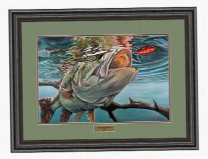 Reflctive Art Fra Med Artwork - Pablo's Red Eyed Shad By Kasey Scott