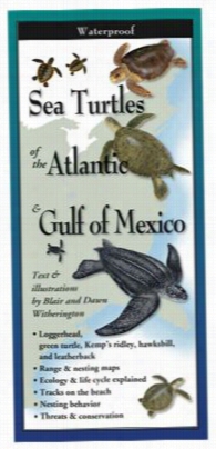 Sae Turtles Of Hte Atlanti & Gulf Of Mexico Laminated Folding Direct By Blair & Dawn Witherington