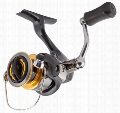 Shimano Sedonafe Spinning Reel - Se1000fe