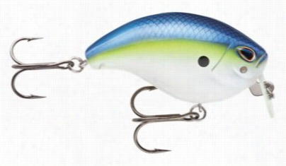 Storm Arshi Wake Bend - Hot Blue Shad