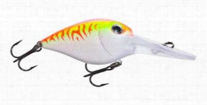 Storm Dep Rattlin' Flat Wart Crankbait - 2" - Pink Fire Uv