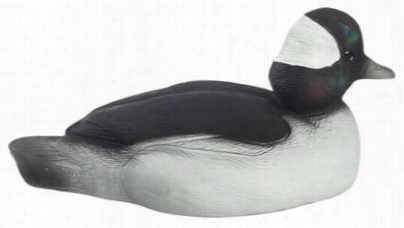 Tanglefree Migration Edition  Bufflehead Duck Decoys