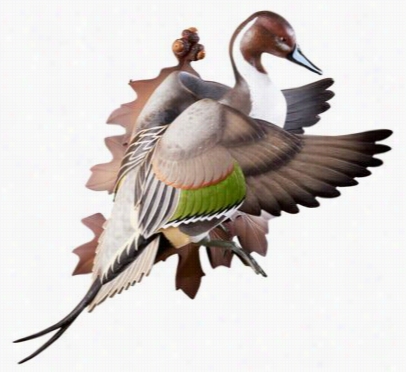 Wild Wings Flying Pintail Wall-mount Decoy Sculpture By Sam Nottlleman