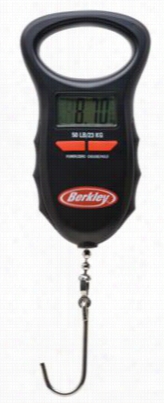 Berkley Digital Fis Hscale