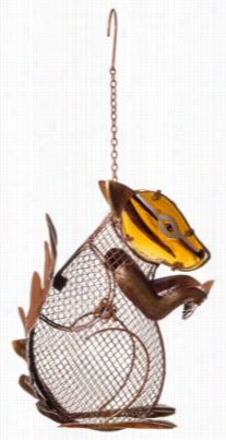 Eveergreen Squirrel Mesh Bird Feede