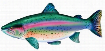 Giant Stuffed Fish For Kids - Rainnbow Trout