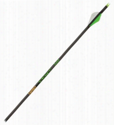 Gold Tip Velocity Xt Arrows - 300 - 6 Pack