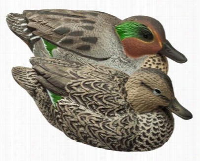 Hard Core Dec Oys Green-winged Teal Decoy