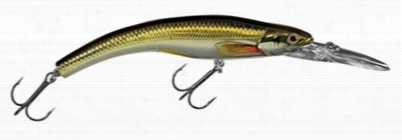 Livetarget Rainbow Smelt Banan Bait - Gold Black - Rsb91s208