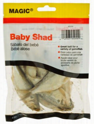 Magic Preseerved Baby Shaad Baits - 1.5 Oz.