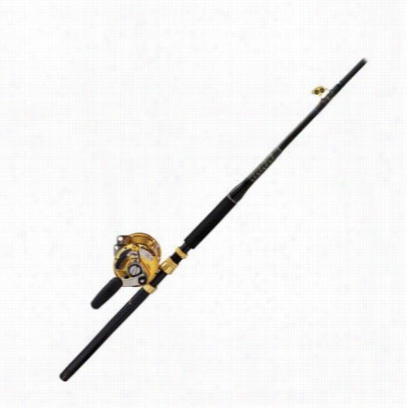 Penn International V  Series/ocean Master Igfa  Stand-up Rod And Reel Combo - 30vsw/om30igfa