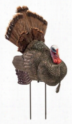 Redhead Reality Series Crazy Jake Turkey Decoy