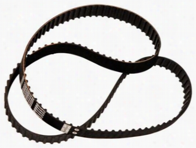 Scotty Remote From The Equator Perfoormance Downrigger Spare Drive Belt