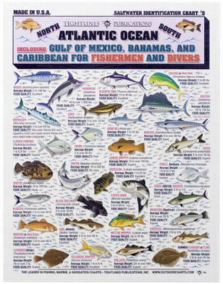 Wa Terproof Fish Id Charts For Saltwater