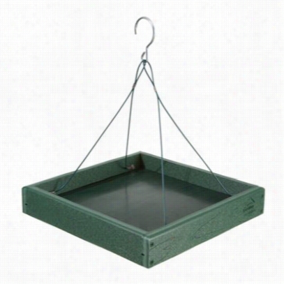 Woodlink Going Greenr Ecycled Plastic Plaftorm Bird Feeder